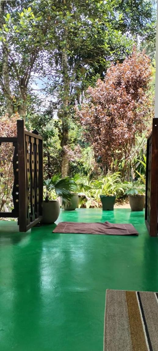 Ella Shali'S Home מראה חיצוני תמונה